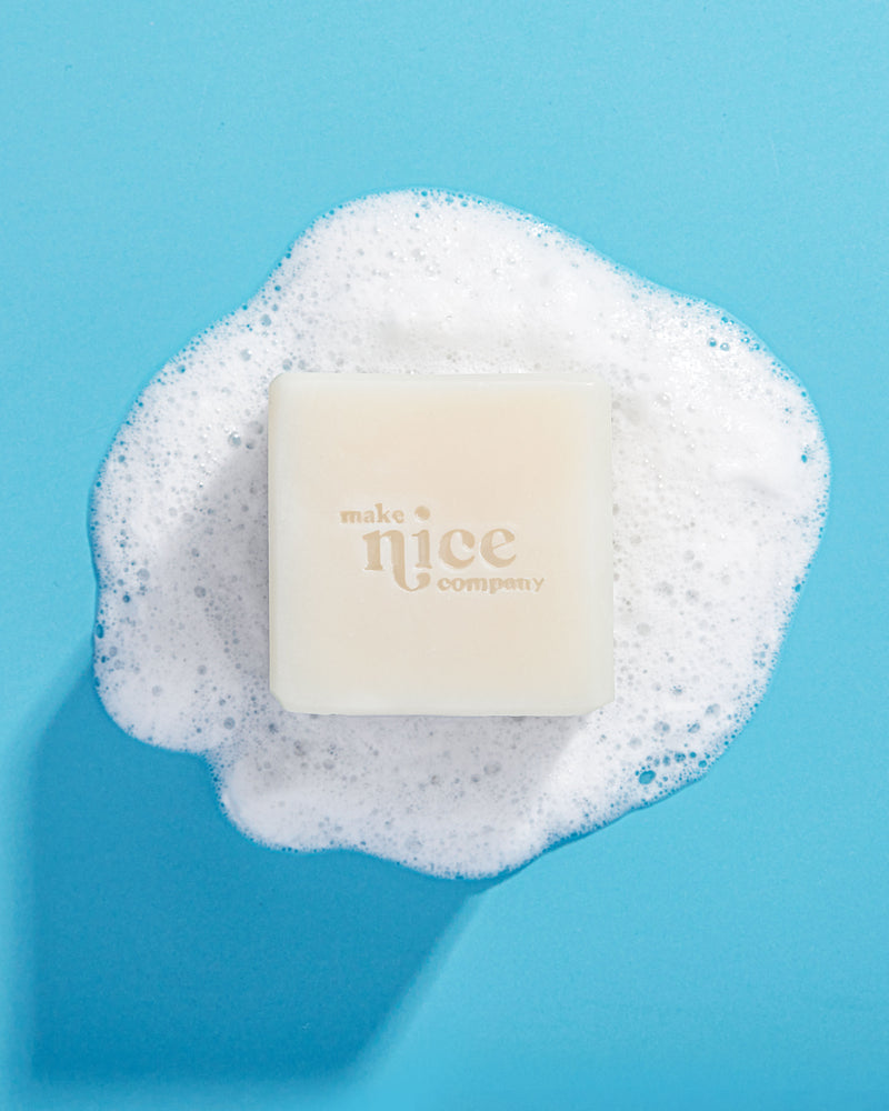 Make Nice | Solid Dish Soap