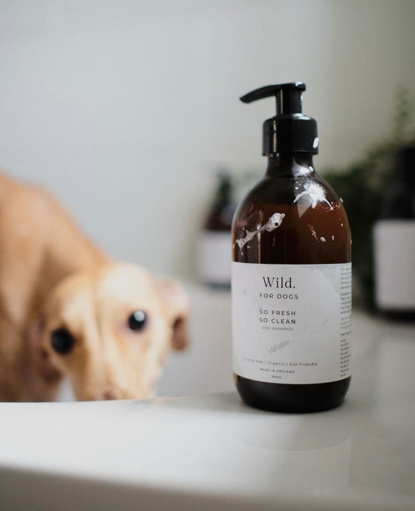 Wild For Dogs | Organic Dog Shampoo