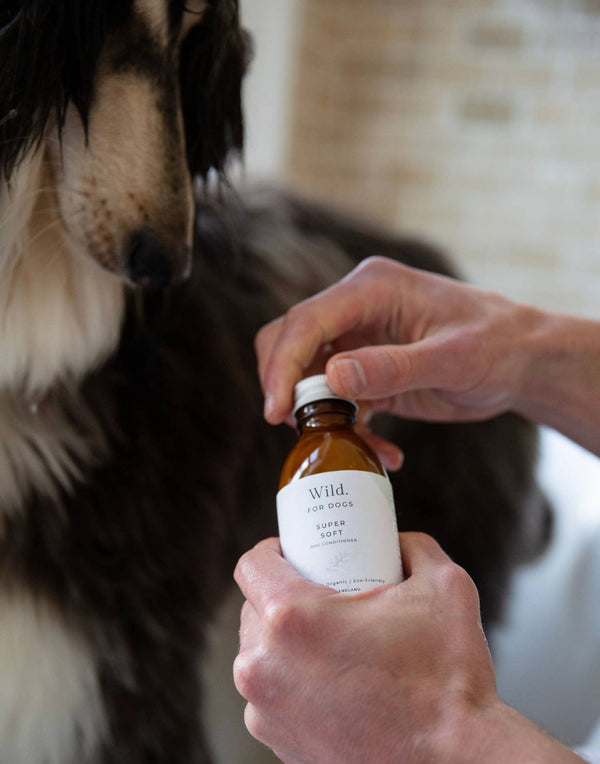 Wild For Dogs | Organic Dog Conditioner