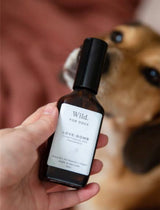 Wild For Dogs | Love Bomb Dog Fragrance