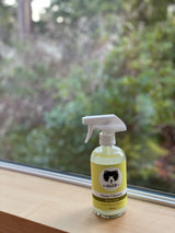 The Bare Co | Glass Cleaner