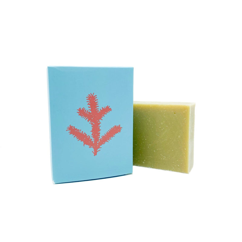 spruce and rose soap. wildcrafted from organic ingredients. vegan. cruelty free. palm oil free. made in Canada.